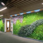 Inside Wall Garden