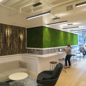 Low Maintenance Moss Wall