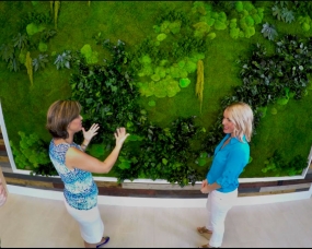 Garden on the Wall featured at Office Spaces TV Show