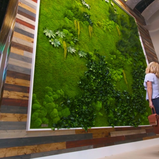 Garden on the Wall – Introduction