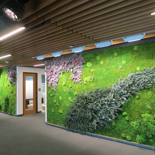 Inside Wall Garden