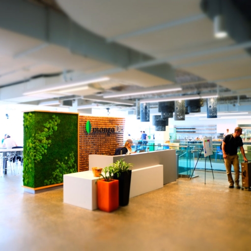MongoDB Reception