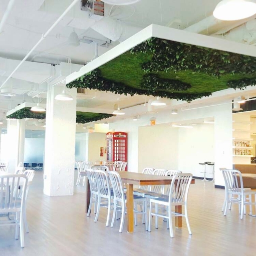 Preserved Foliage Ceiling